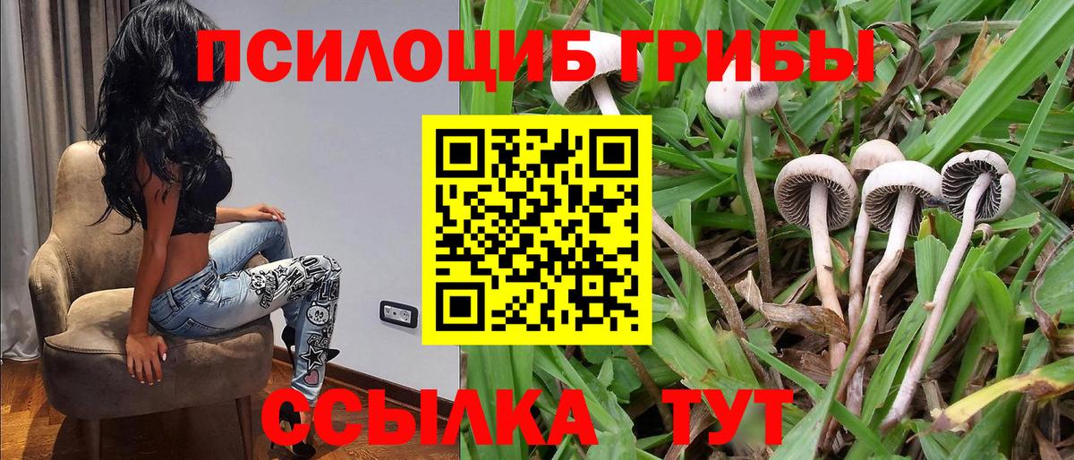Псилоцибиновые грибы MAGIC MUSHROOMS Павлово