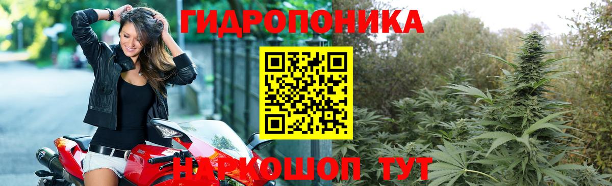 Бошки Шишки индика Павлово